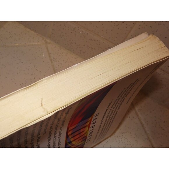 Happiness Now! Timeless Wisdom for Feeling Good FAST by Robert Holden Book - Picture 5 of 5